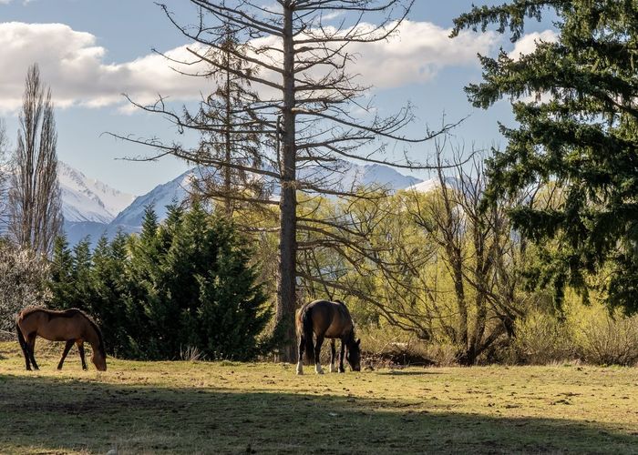  at 260 Glen Lyon Road, Twizel, Mackenzie, Canterbury