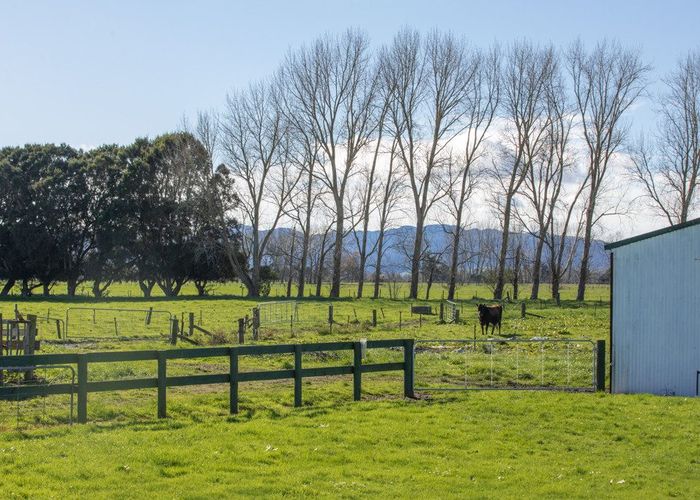  at 649 Wani Road, Netherton, Hauraki, Waikato