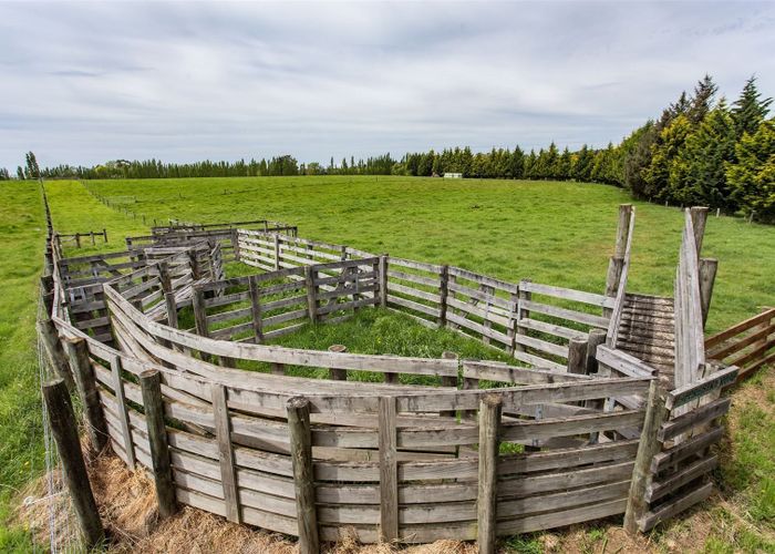 at 119 Forestry Road, Ashley, Rangiora