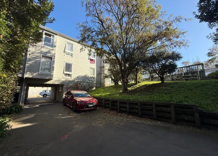  at 113 Coromandel St, Newtown, Wellington, Wellington
