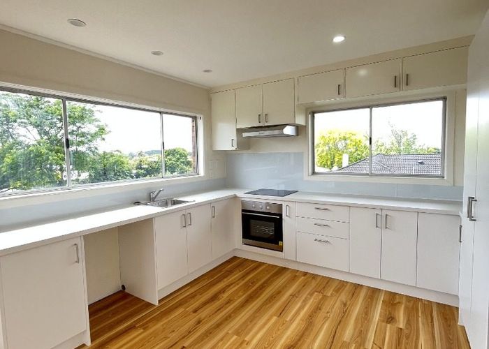  at 55 Helvetia Road, Pukekohe, Pukekohe