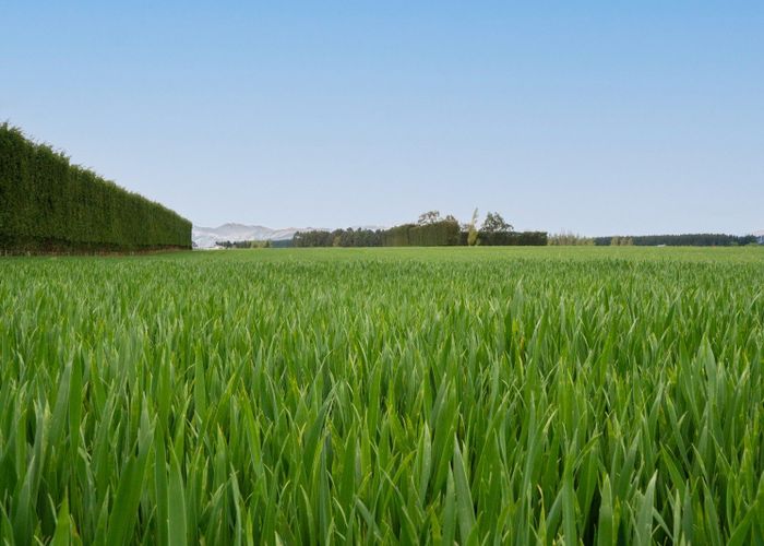  at Warr Road, Balfour, Southland, Southland