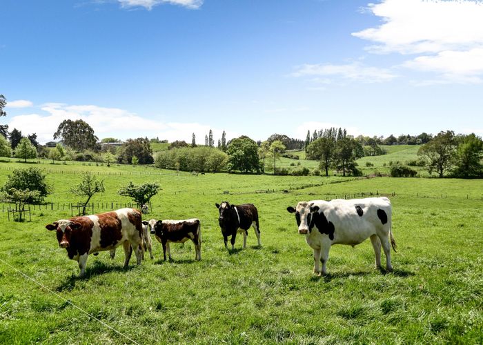  at 3323 Ohaupo Road, Rukuhia, Hamilton, Waikato