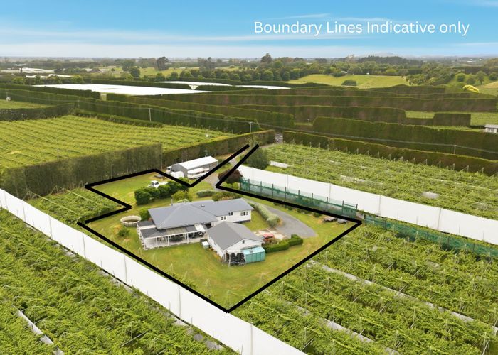  at 492  State Highway 33, Paengaroa, Western Bay Of Plenty, Bay Of Plenty