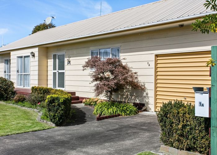  at 1A Domett Street, Whataupoko, Gisborne