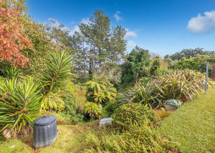 at 5 Carolyn Place, Fitzroy, Hamilton
