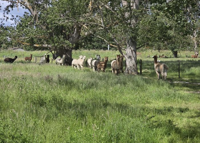  at 0 Grindon Street, RD3, Lawrence, Clutha, Otago