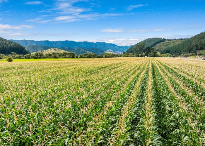  at State Highway 1, Koromiko, Marlborough, Marlborough