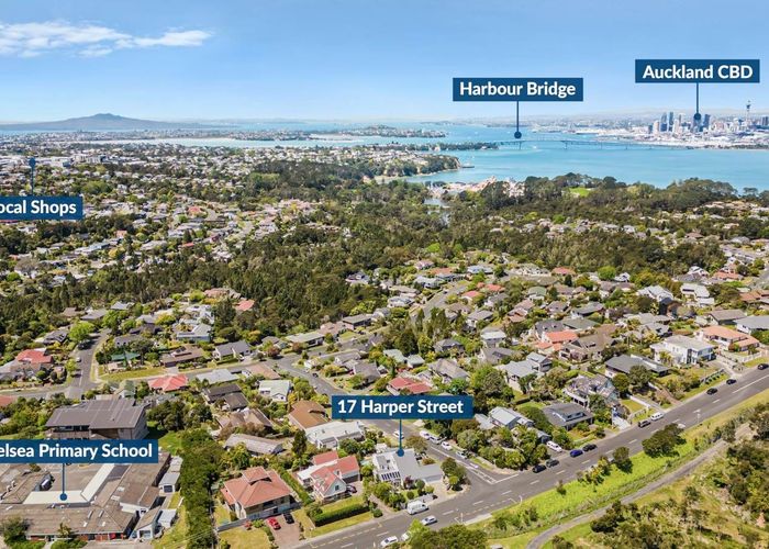  at 17 Harper Street, Chatswood, North Shore City, Auckland