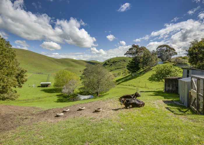  at 201 Endsleigh Road, Havelock North, Hastings, Hawke's Bay
