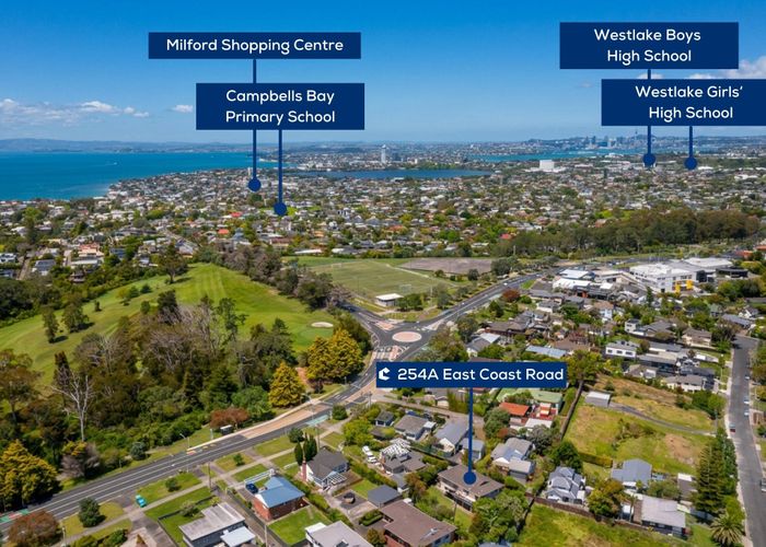  at 254A East Coast Road, Forrest Hill, North Shore City, Auckland