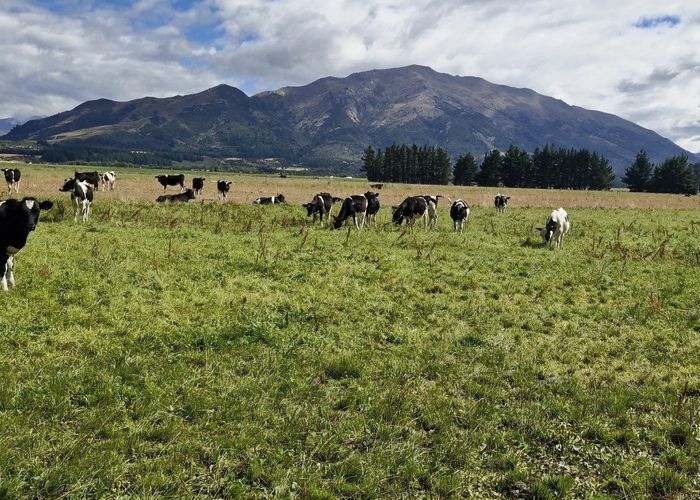  at 481 Camp Hill Road, Lake Hawea, Wanaka, Otago