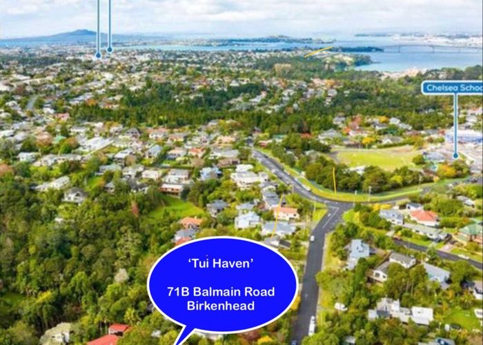  at 71B Balmain Road, Birkenhead, North Shore City, Auckland