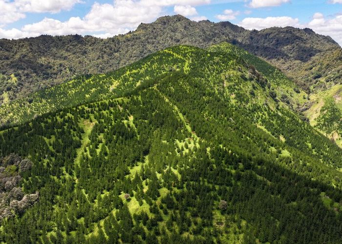  at 0 Pukehuia Road, Tangiteroria, Kaipara, Northland