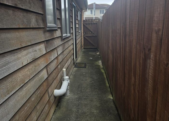  at 19 Jeffs Road, Flat Bush, Manukau City, Auckland