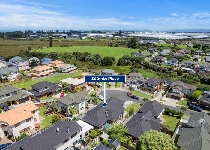 at 12 Ginko Place, Mangere, Auckland