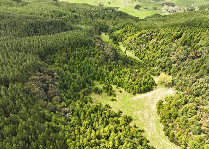  at State Highway 32, Turangi, Taupo, Waikato