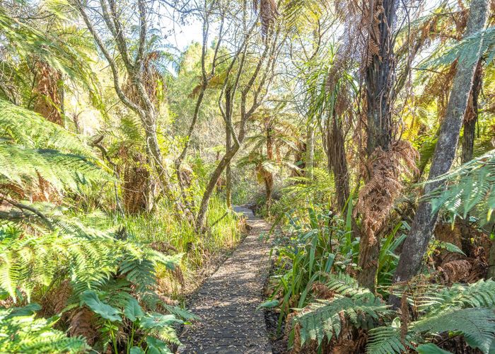  at 13 Willow Brook Lane, Te Kowhai