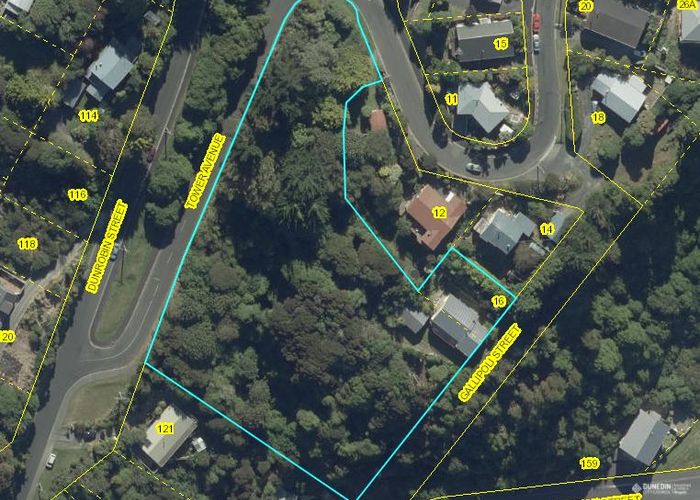  at 16 Tower Avenue, Waverley, Dunedin