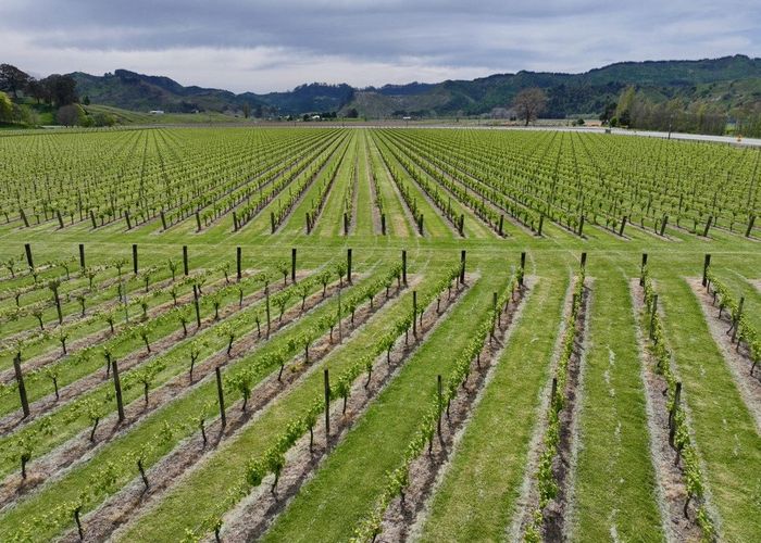  at 2057 Matawai Road, Te Karaka, Gisborne, Gisborne