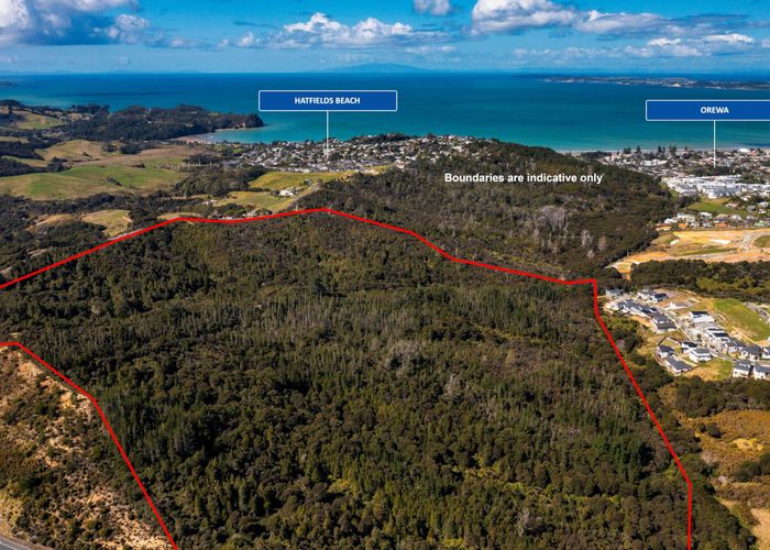  at 160 Hillcrest Road, HATFIELDS BEACH, OREWA
