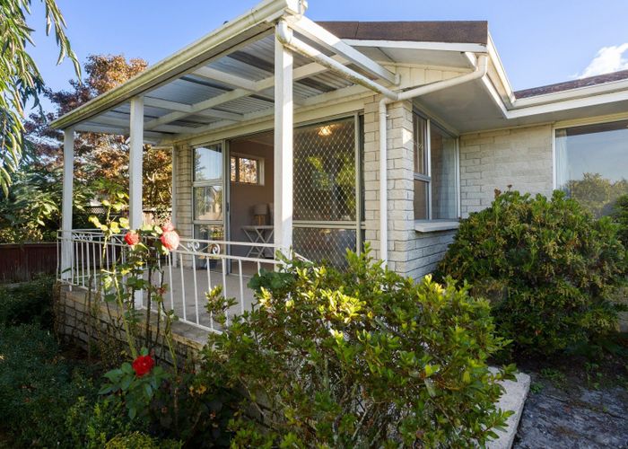  at 3 Riccarton Place, Dinsdale, Hamilton, Waikato