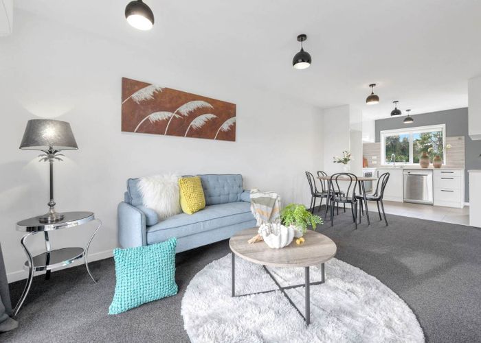  at 17C Domain Road, Panmure, Auckland