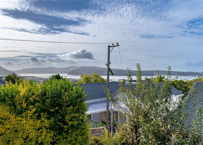  at 73 Canongate, Dunedin Central, Dunedin