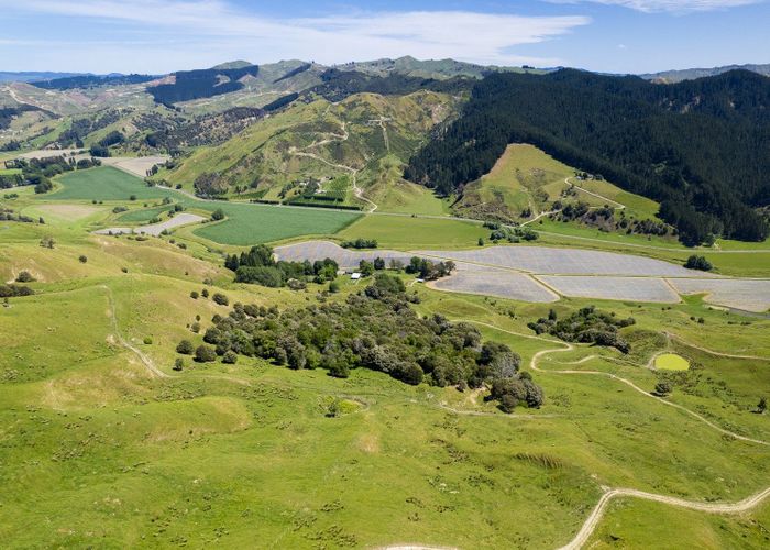  at Hills Road, Ngatapa, Gisborne, Gisborne