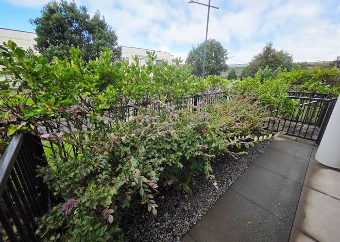  at 77 Bluegrey Avenue, Stonefields, Auckland
