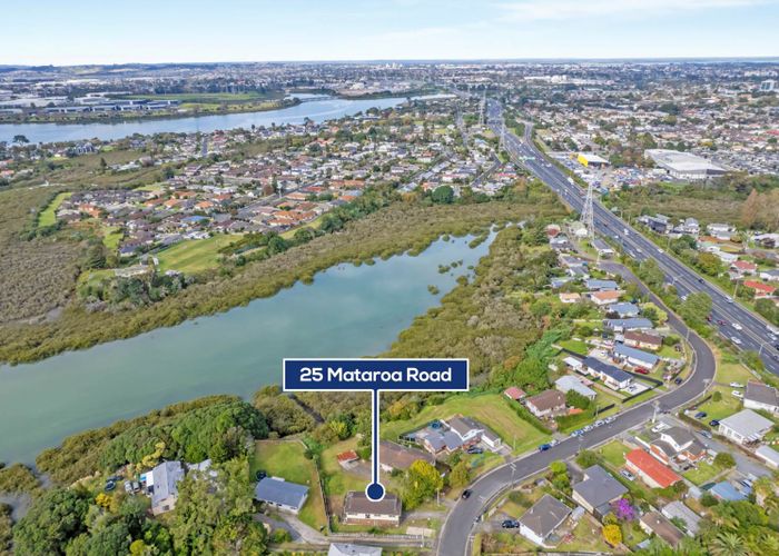 Free property data for 25 Mataroa Road, Mount Wellington, Auckland