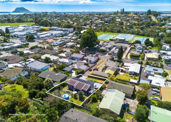 at 68 Windsor Road, Bellevue, Tauranga