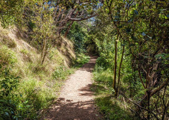  at 23 Te Aroha Ave, Oneroa, Waiheke Island, Auckland