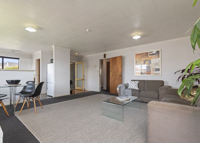  at 2 Webb Street, Terrace End, Palmerston North