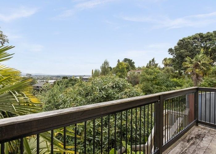  at 35 Hospital Terrace, Hospital Hill, Napier, Hawke's Bay