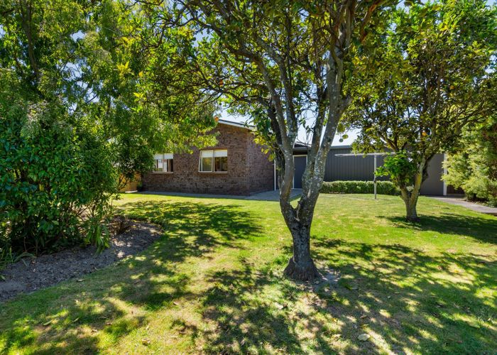  at 55 Guppy Road, Greenmeadows, Napier