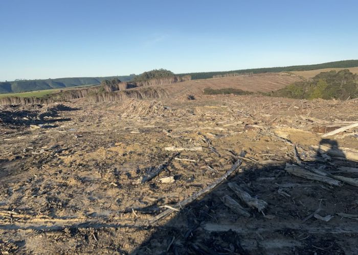  at 0 Taieri Beach Road, Taieri Mouth, Clutha, Otago