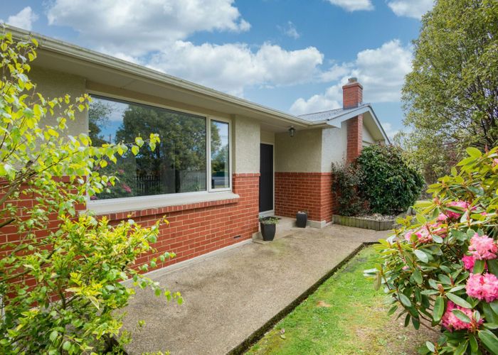  at 5 Flower Street, Fairfield, Dunedin