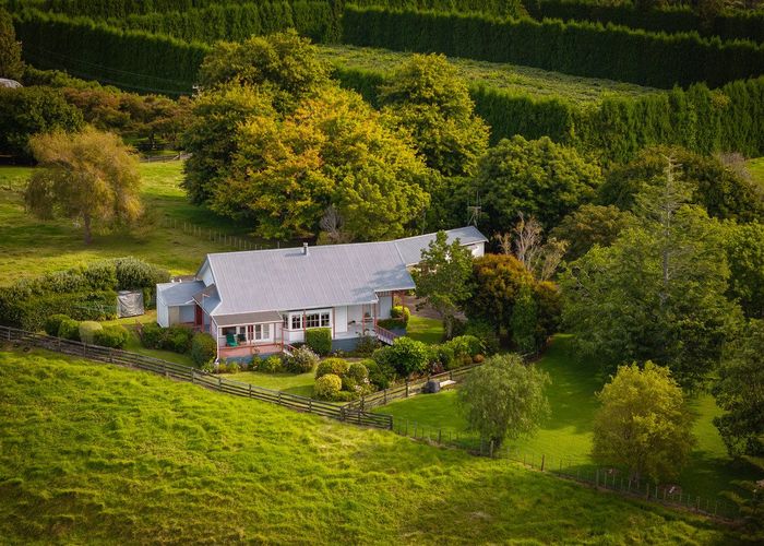  at 119 Hereford Road, Tauranga