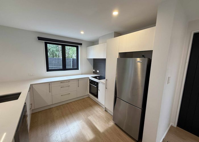  at 96C Strickland Street, Sydenham, Christchurch City, Canterbury