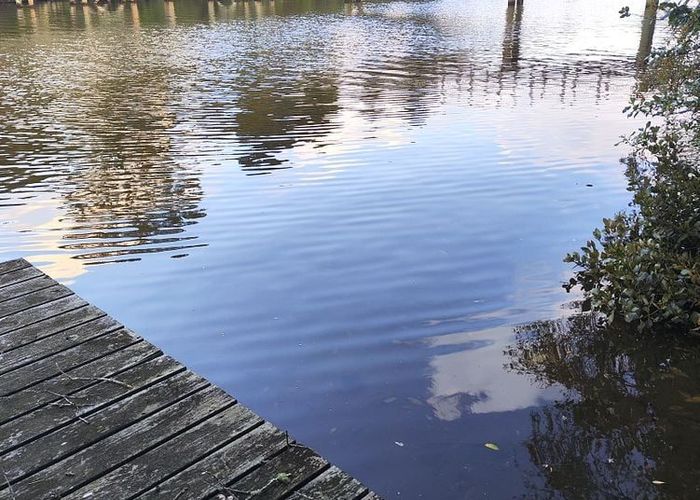  at 148 Lucerne Road, Remuera, Auckland City, Auckland