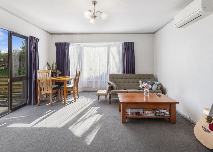 at 3/115 Owen Street, Newtown, Wellington