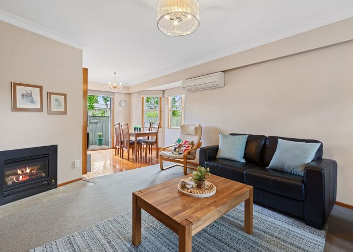  at 529D Devonport Road, Tauranga South, Tauranga