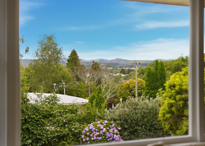  at 11 Scantlebury Street, Avenues, Tauranga, Bay Of Plenty