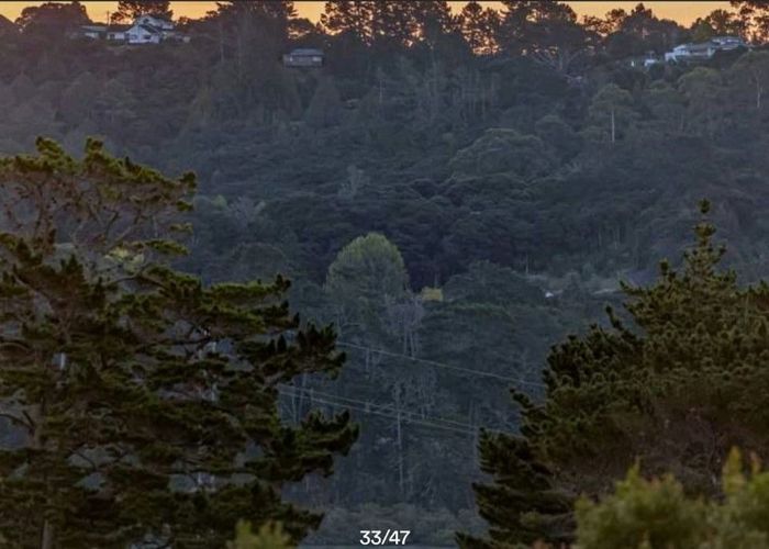  at 9 Kittiwake Drive, Schnapper Rock, North Shore City, Auckland