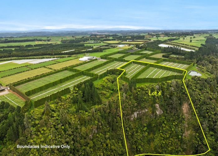  at 1010 Te Matai Road, Te Puke, Western Bay Of Plenty, Bay Of Plenty