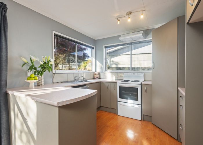  at 17 Wyndham Street, Awapuni, Palmerston North