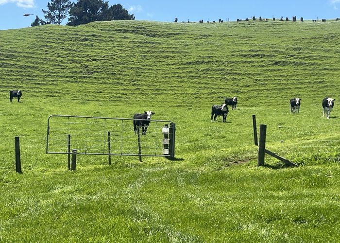  at 971 Richmond Road, Lepperton, New Plymouth, Taranaki