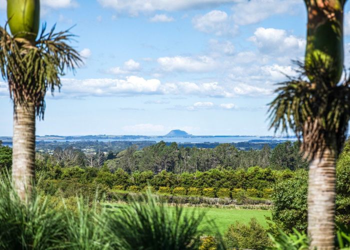  at 17B TYE ROAD, Katikati