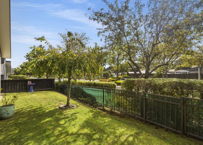  at 49 Bridgewater Way, Pyes Pa, Tauranga, Bay Of Plenty